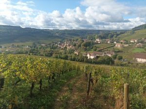 Περιήγηση στη Βουργουνδία, Romain Bouchaud