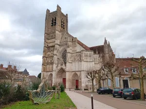Tour guide in Auxerre, Romain Bouchaud