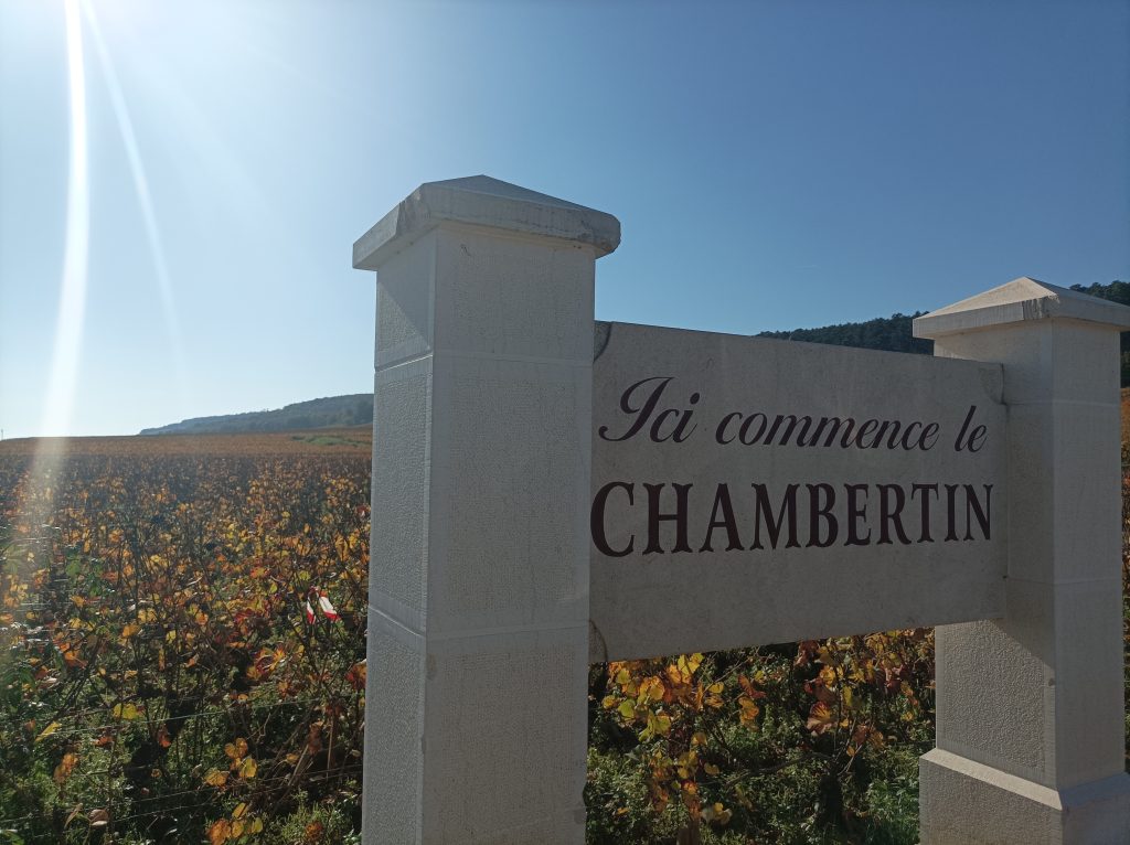 Læs mere om artiklen De bedste vine i Bourgogne