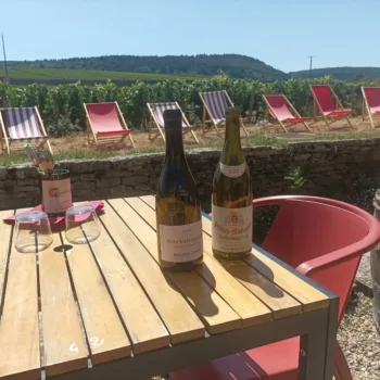Vyno turas Beaune
