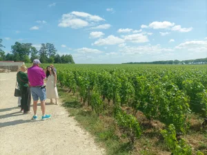 Vyno degustacija Pommarde, Romain Bouchaud