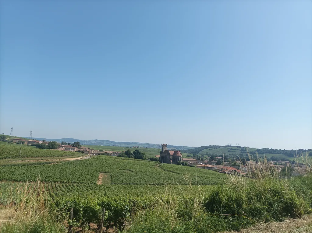 Wine tour in Pouilly