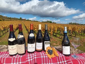 Περιήγηση κρασιού Βουργουνδίας, Romain Bouchaud