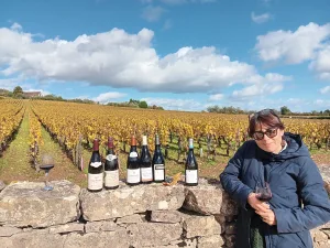Grand Cru vyno degustacija, Vyno degustacija ir ekskursija po pilį iš Chalon-sur-Saône